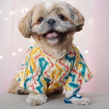 Small dog wearing festive kurta with colorful patterns and rakhi on paw, part of Kurta + Rakhi Combo for Dogs – Celebrate Rakhi in Style.