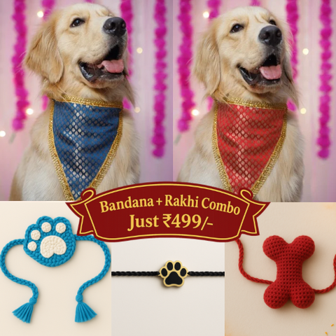 The Rakhi Pawfect Combo – Bandana + Rakhi for ₹499
