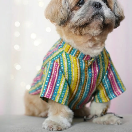 PawTaaka Festive Leheriya Dog Kurta – Multicolor Ethnic Wear for Dogs