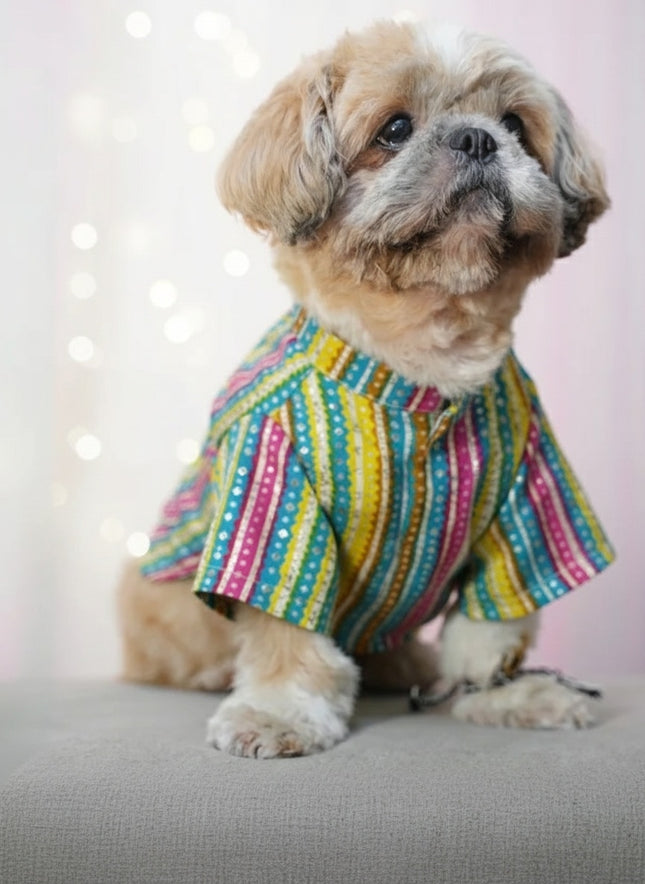 PawTaaka Festive Leheriya Dog Kurta – Multicolor Ethnic Wear for Dogs
