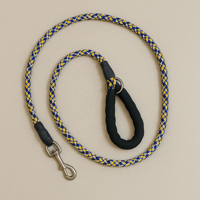 PawTaaka TrekFlex Dog Leash – Blue & Yellow Braided