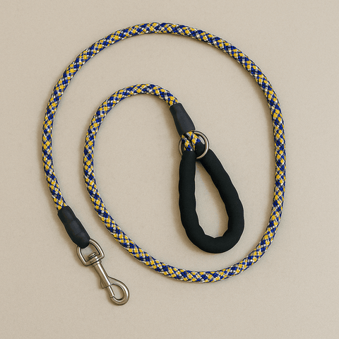PawTaaka TrekFlex Dog Leash – Blue & Yellow Braided