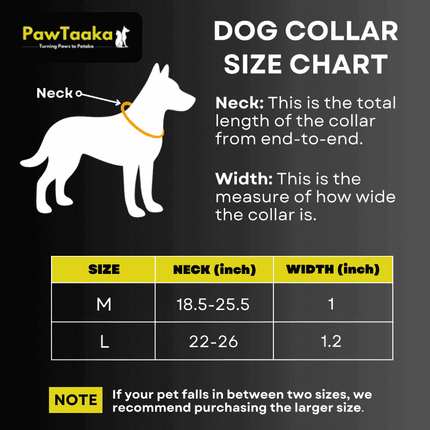 Dog collar size chart for PawTaaka Basics Solid Strap Collar – Electric Blue showing neck and width measurements for M and L sizes.