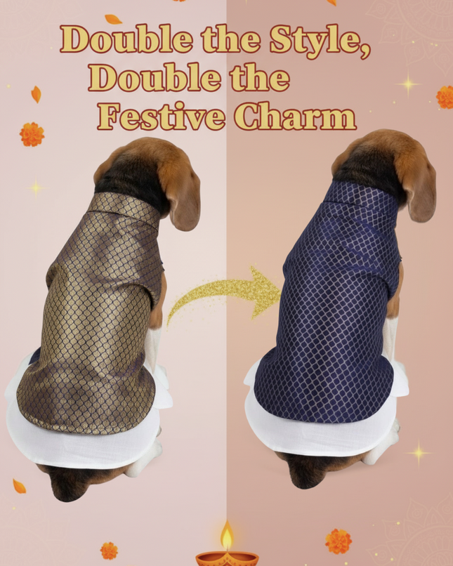 PawTaaka Luxe Reversible Brocade Koti & Cotton Kurta Set for Dogs