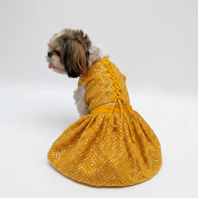 PawTaaka Sequined Lehenga Choli for Dogs & Cats | Premium Festive Ethnic Wear