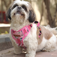 Small dog wearing PawTaaka Luxe Reflective Pink Dog Harness with cartoon snack squad print, ideal for safe and stylish daily walks.