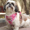 Small dog wearing PawTaaka Luxe Reflective Pink Dog Harness with cartoon snack squad print, ideal for safe and stylish daily walks.