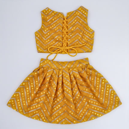 PawTaaka Sequined Lehenga Choli for Dogs & Cats | Premium Festive Ethnic Wear