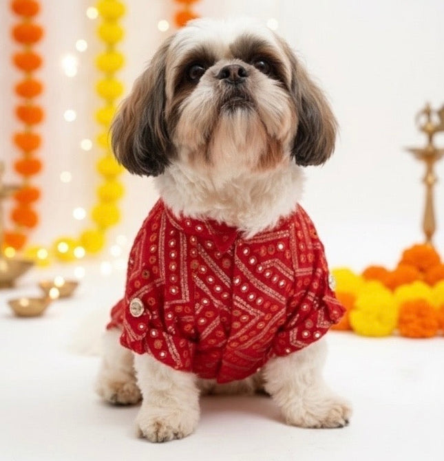 Royal Red Kurta for Dogs – Festive & Wedding Ethnic Wear