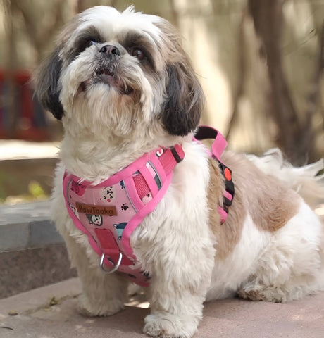PawTaaka Luxe Reflective Dog Vest Harness – Snack Squad Cartoon Pink