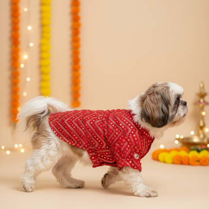 Royal Red Kurta for Dogs – Festive & Wedding Ethnic Wear