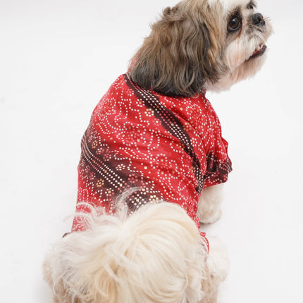 PawTaaka Royal Red Bandhani Dog Kurta – Festive Ethnic Collection
