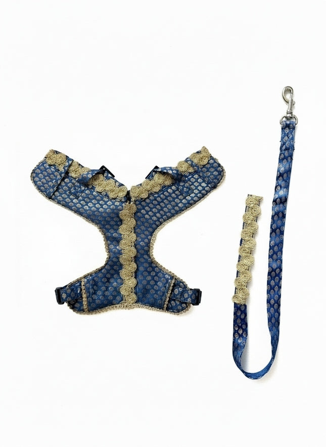 PawTaaka Luxe Gold Lace Harness & Leash – Royal Blue Festive Edition
