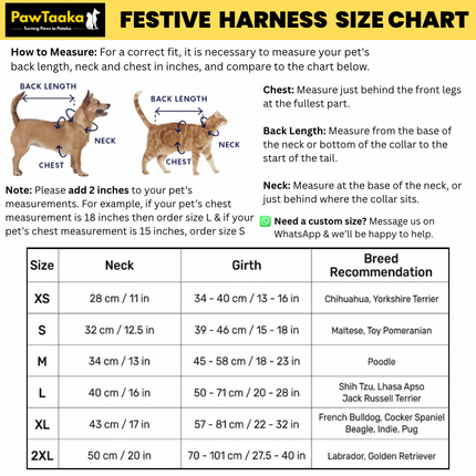 PawTaaka Luxe Gold Lace Harness & Leash – Royal Blue Festive Edition