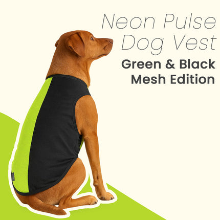 PawTaaka Neon Pulse Dog Vest – Green & Black Mesh Edition