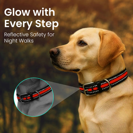 PawTaaka Flex Mode Reflective Dog Collar