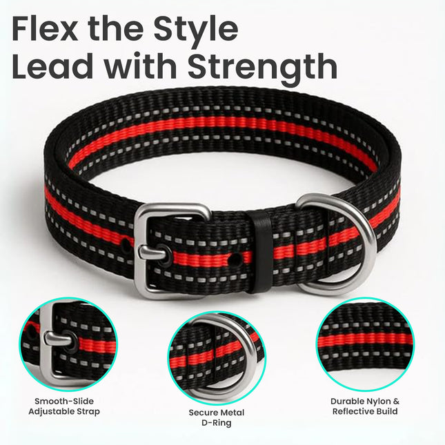 PawTaaka Flex Mode Reflective Dog Collar