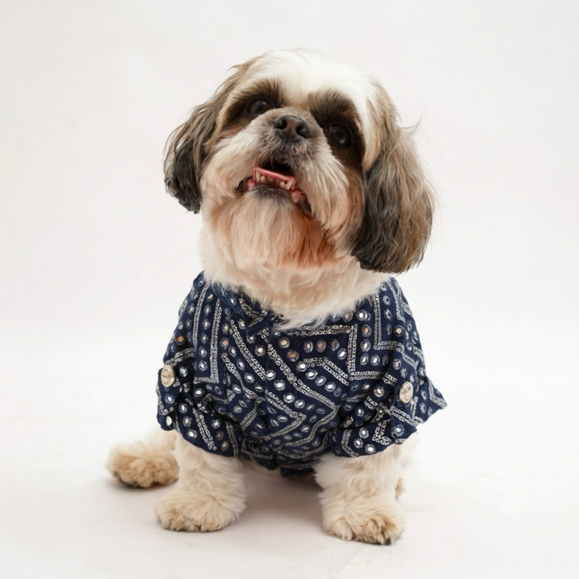 PawTaaka Royal Blue Kurta for Dogs – Festive & Wedding Ethnic Wear