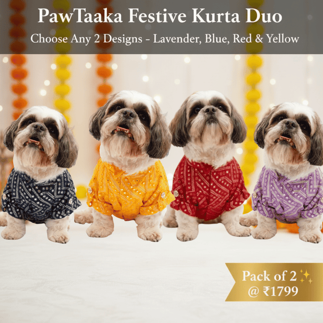 PawTaaka Festive Kurta Duo – Pack of 2 Outfits