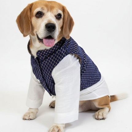 PawTaaka Luxe Reversible Brocade Koti & Cotton Kurta Set for Dogs