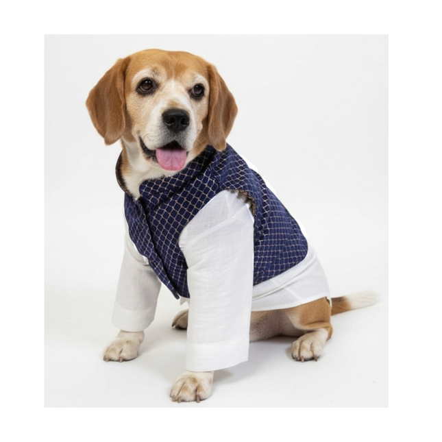 PawTaaka Luxe Reversible Brocade Koti & Cotton Kurta Set for Dogs