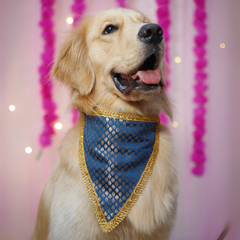 PawTaaka Festive Bowtie & Bandana Style Set – Mix & Match Your Look