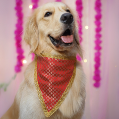 PawTaaka Festive Bowtie & Bandana Style Set – Mix & Match Your Look
