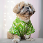PawTaaka Leheriya Dog Kurta – Festive Green Stripes Edition