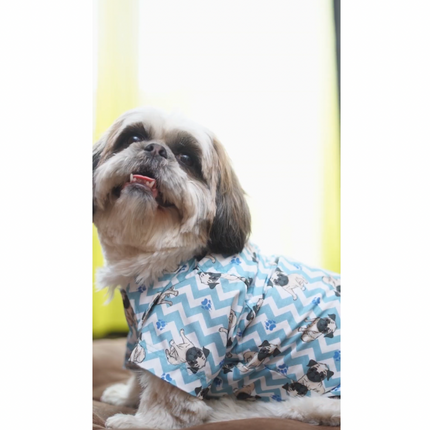 Pick Any 2 Stylish Dog Shirts – Easy Wear Combo for ₹999