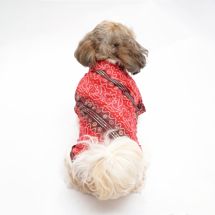 PawTaaka Royal Red Bandhani Dog Kurta – Festive Ethnic Collection