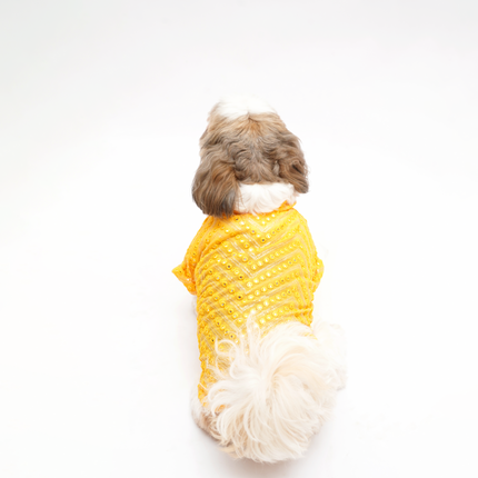 PawTaaka Yellow Dog Kurta – Golden Sequin & Mirror Work