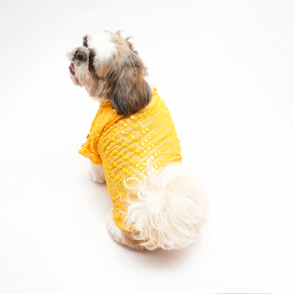 PawTaaka Yellow Dog Kurta – Golden Sequin & Mirror Work
