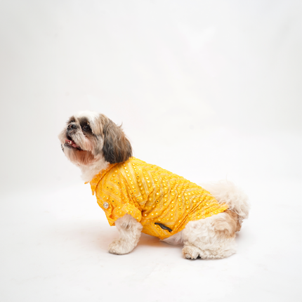 PawTaaka Yellow Dog Kurta – Golden Sequin & Mirror Work