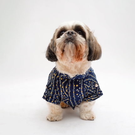 PawTaaka Royal Navy Blue Dog Kurta – Leheriya Festive Vibes