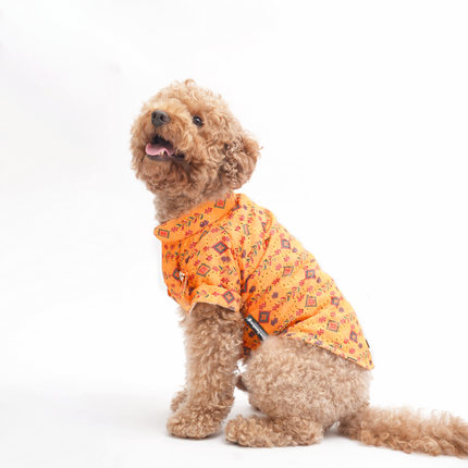PawTaaka Mustard Yellow Dog Kurta – Traditional Motif Festive Celebration