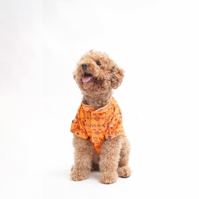 PawTaaka Mustard Yellow Dog Kurta – Traditional Motif Festive Celebration