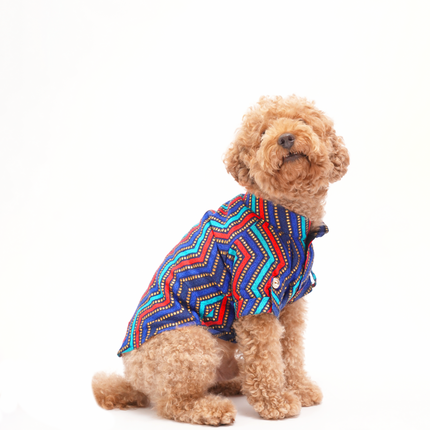 PawTaaka Colorful Ethnic Dog Kurta – Festive Fusion Wear