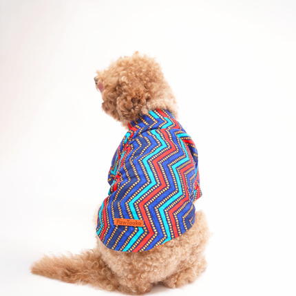 PawTaaka Colorful Ethnic Dog Kurta – Festive Fusion Wear