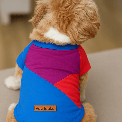 PawTaaka Colorblock Dog T-Shirt in red, blue & purple on a small dog. Stylish and comfy pet clothing, ideal for all dog sizes and machine-washable.