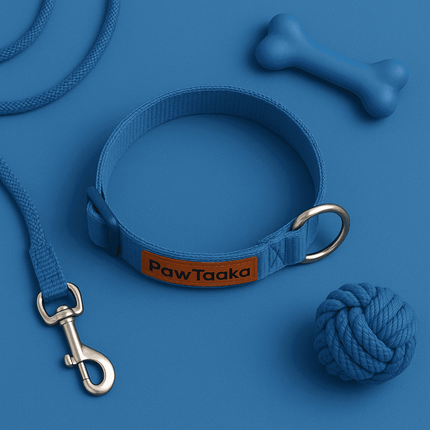 PawTaaka Basics Solid Strap Collar – Electric Blue displayed with matching leash and toys, perfect for stylish pet accessories.