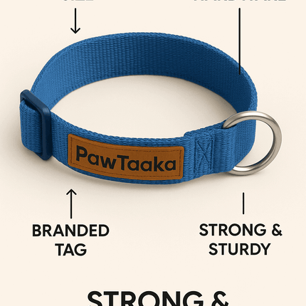 PawTaaka Basics Solid Strap Collar – Electric Blue labeled with features like adjustable size, durable hardware, and strong build.