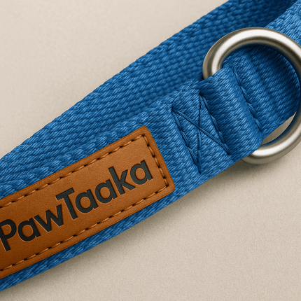 Close-up of PawTaaka Basics Solid Strap Collar – Electric Blue highlighting reinforced stitching and metal D-ring for leash attachment.