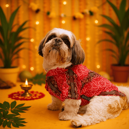 PawTaaka Royal Red Bandhani Dog Kurta – Festive Ethnic Collection