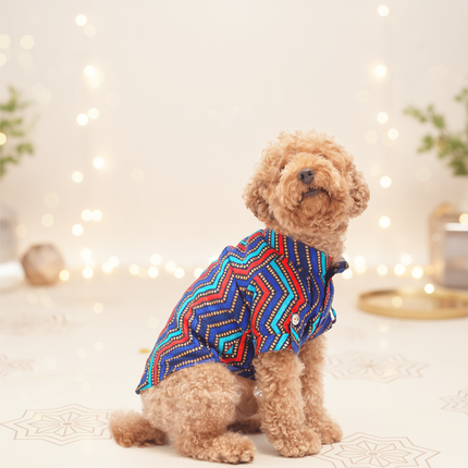 PawTaaka Colorful Ethnic Dog Kurta – Festive Fusion Wear