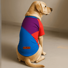 Colorblock Dog T-Shirt – Red, Blue & Purple by PawTaaka on a Labrador. Lightweight and breathable pet apparel for daily comfort and summer wear.