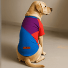 Colorblock Dog T-Shirt – Red, Blue & Purple by PawTaaka on a Labrador. Lightweight and breathable pet apparel for daily comfort and summer wear.