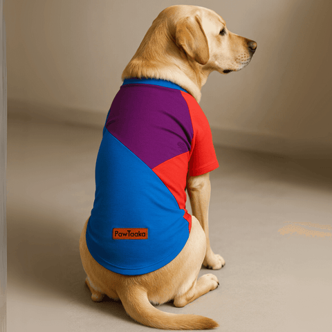 PawTaaka Pop Prism Dog T-Shirt – Red, Blue & Purple Colorblock Edition