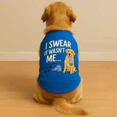 Dog wearing PawTaaka Not Me Dog T-Shirt in blue with 'I Swear It Wasn't Me' graphic, perfect for playful pups and daily wear.