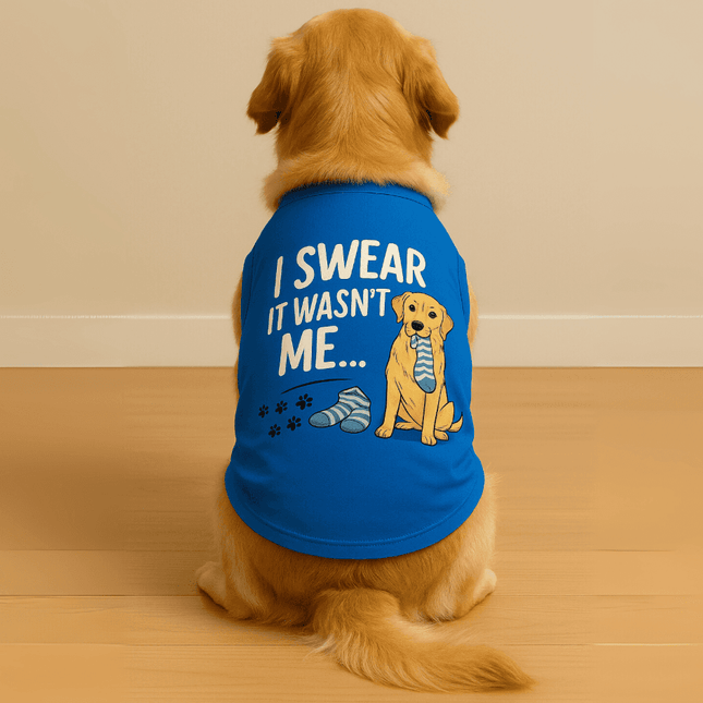 Dog wearing PawTaaka Not Me Dog T-Shirt in blue with 'I Swear It Wasn't Me' graphic, perfect for playful pups and daily wear.