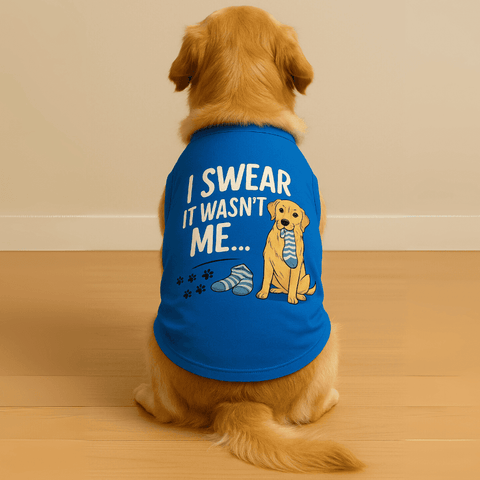 PawTaaka Not Me Dog T-Shirt – Blue Mischief Graphic